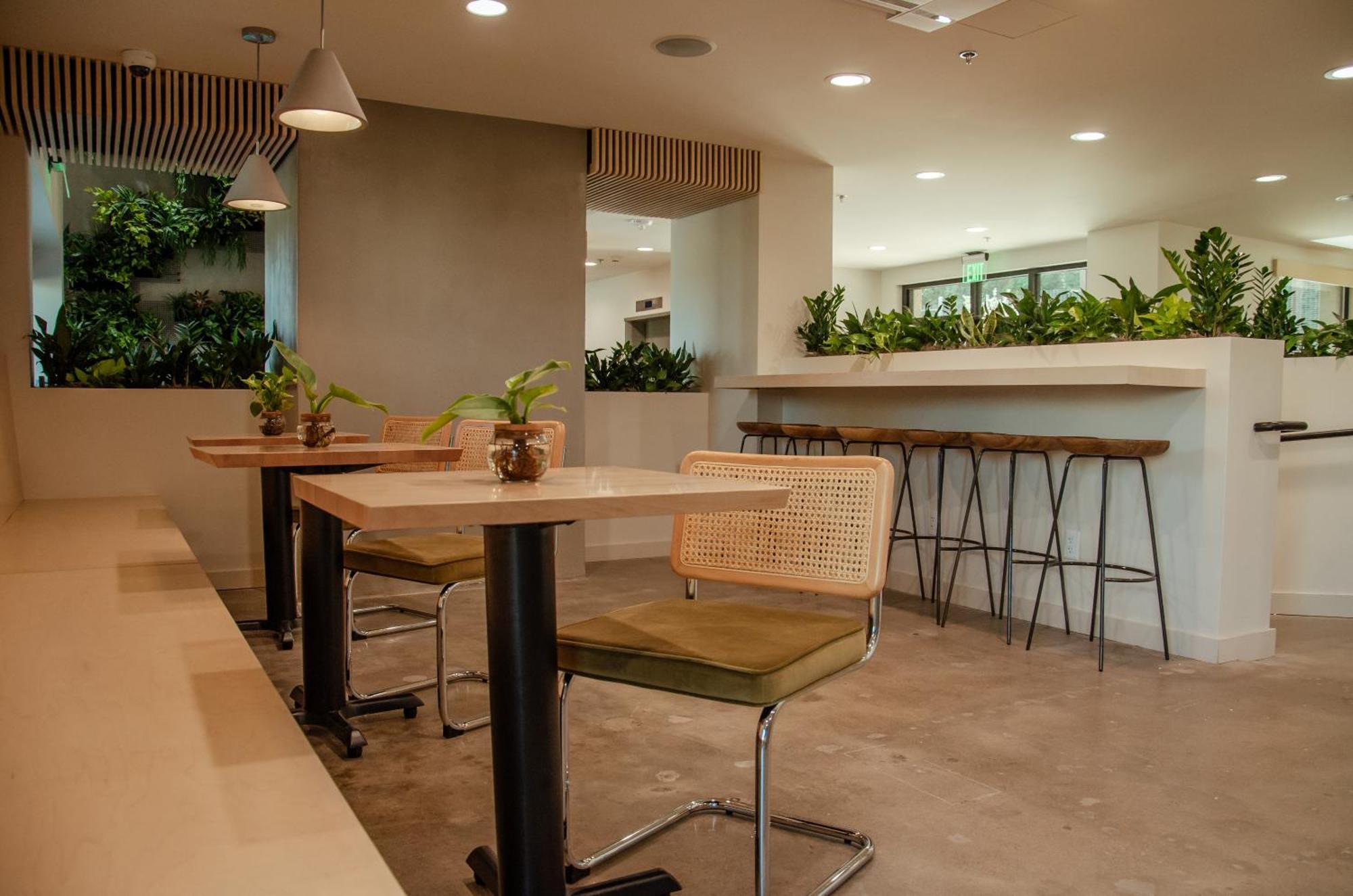 Brut Hotel Tulsa Eksteriør billede